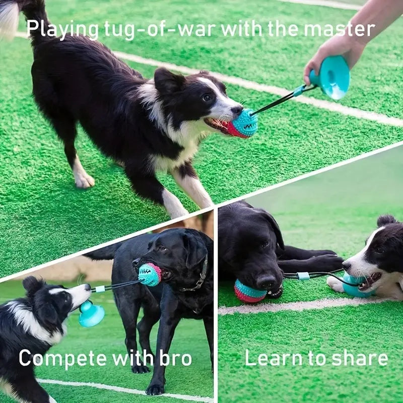 PawGrip Suction Tug & Treat Toy